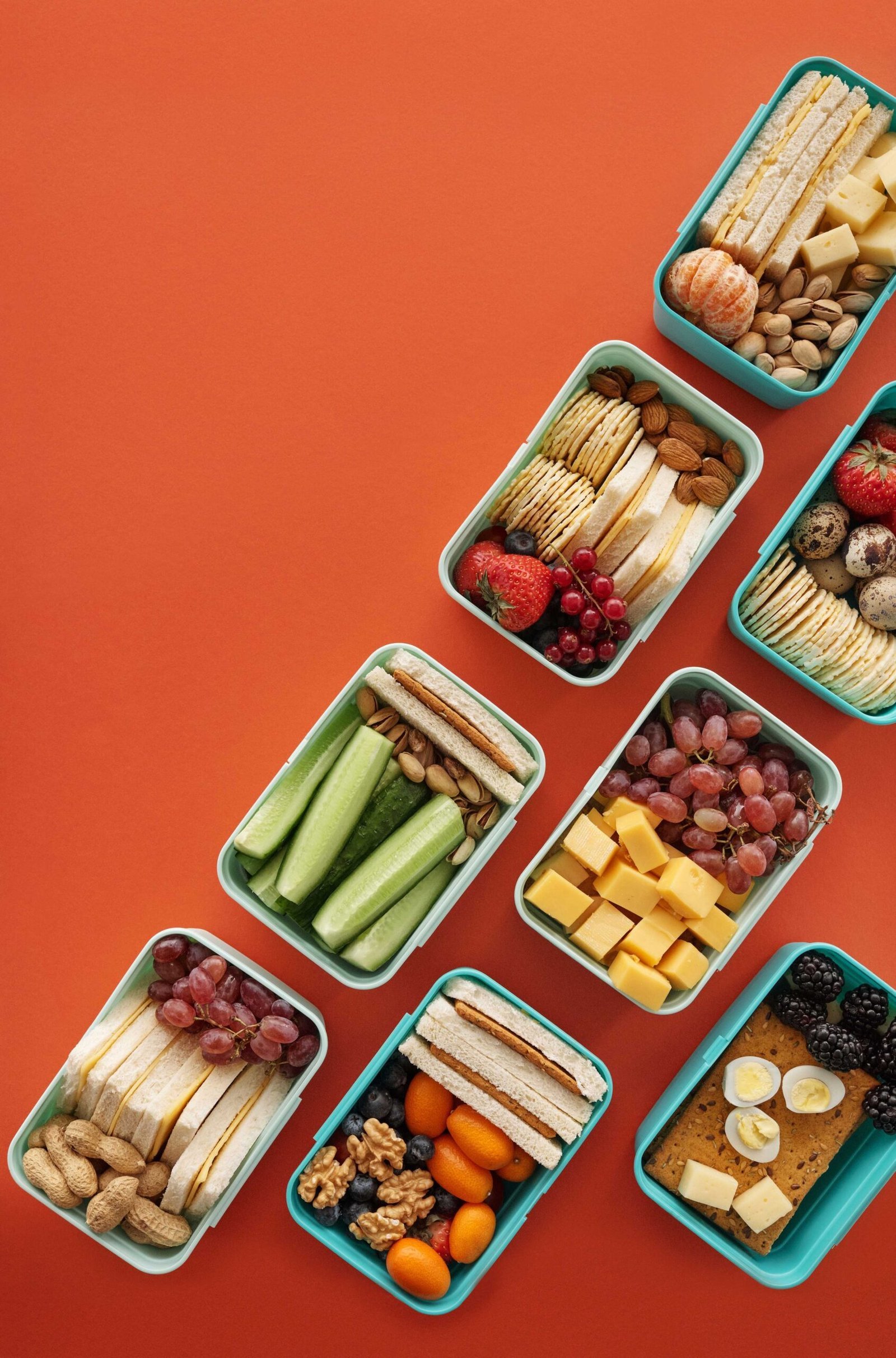 Protein-rich school lunchbox with sandwiches, fresh fruit, vegetables, and easy sides