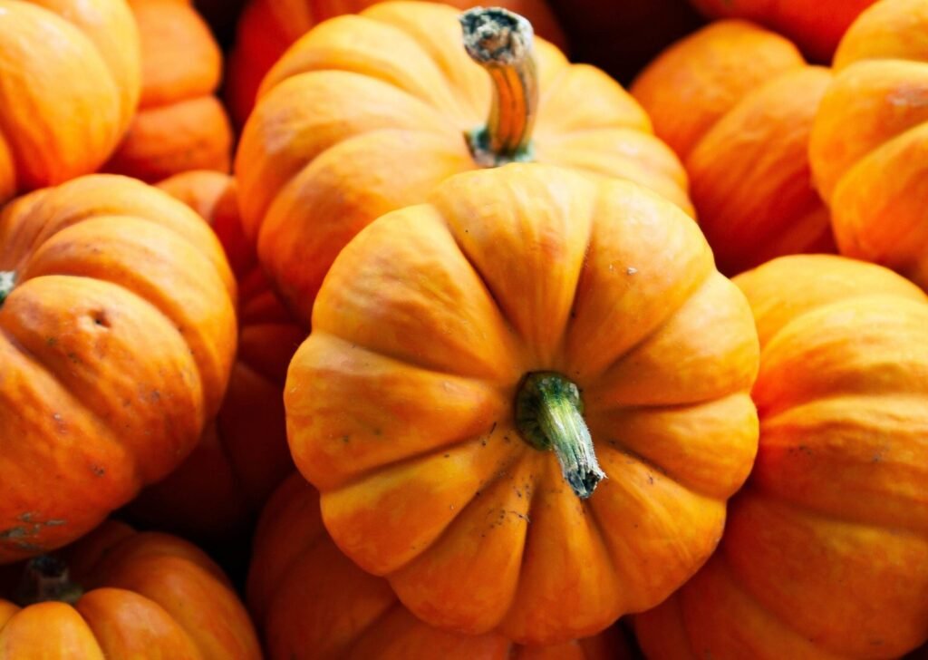 pumpkin nutrition facts